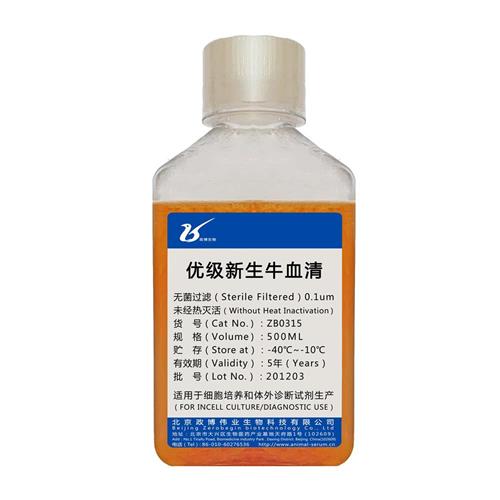 �ż�����ţѪ��